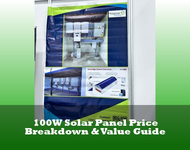 100W Solar Panel Price Breakdown & Value Guide