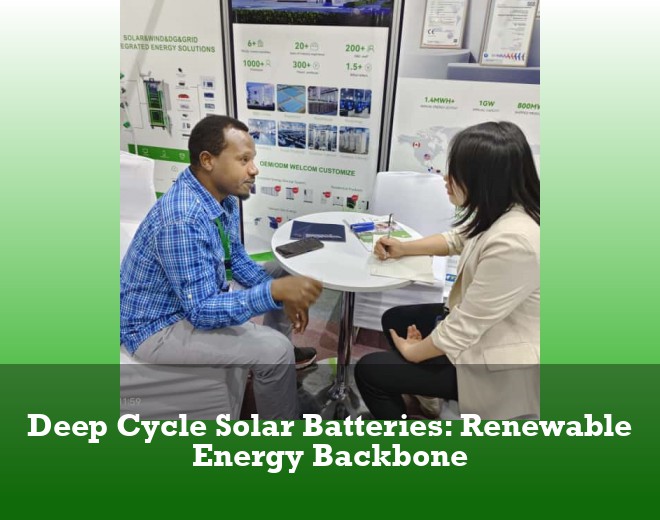 Deep Cycle Solar Batteries: Renewable Energy Backbone