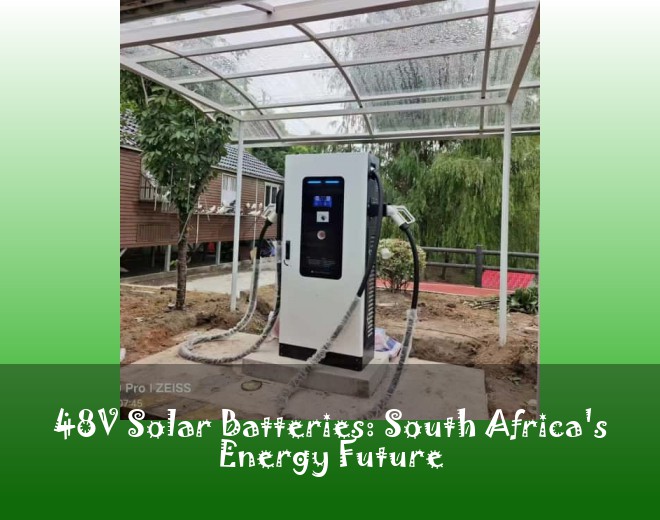 48V Solar Batteries: South Africa's Energy Future