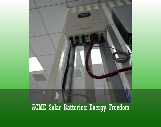ACME Solar Batteries: Energy Freedom