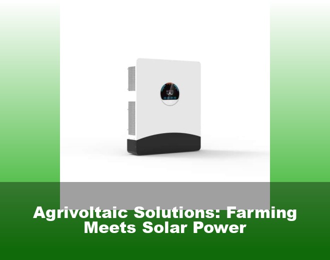 Agrivoltaic Solutions: Farming Meets Solar Power