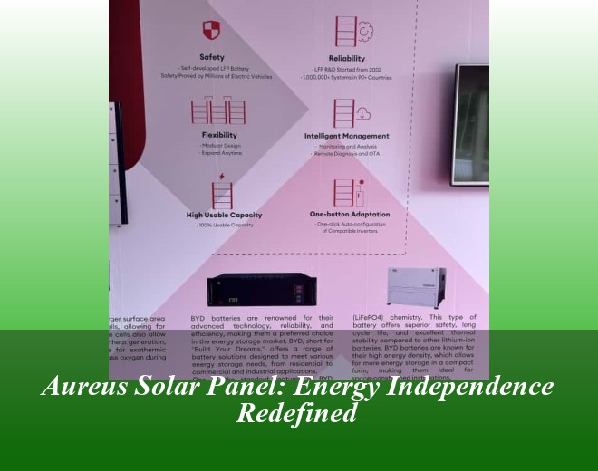 Aureus Solar Panel: Energy Independence Redefined