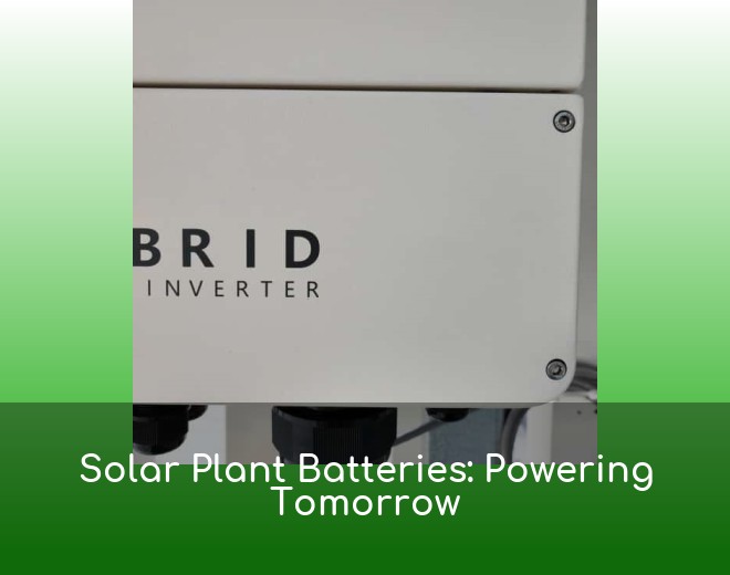 Solar Plant Batteries: Powering Tomorrow