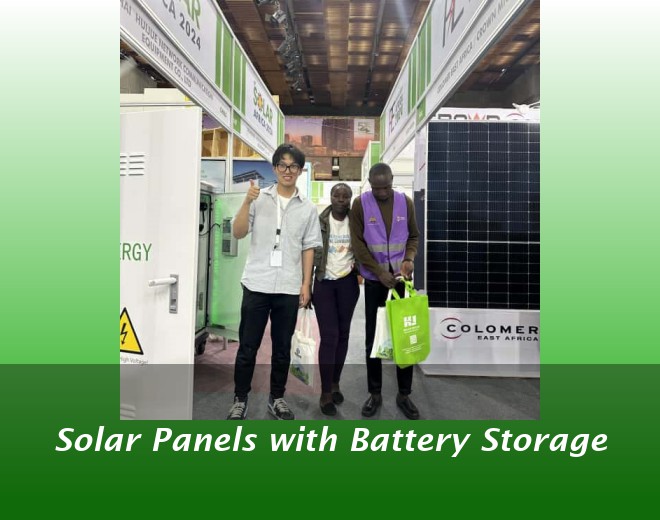 Solar Panels with Battery Storage