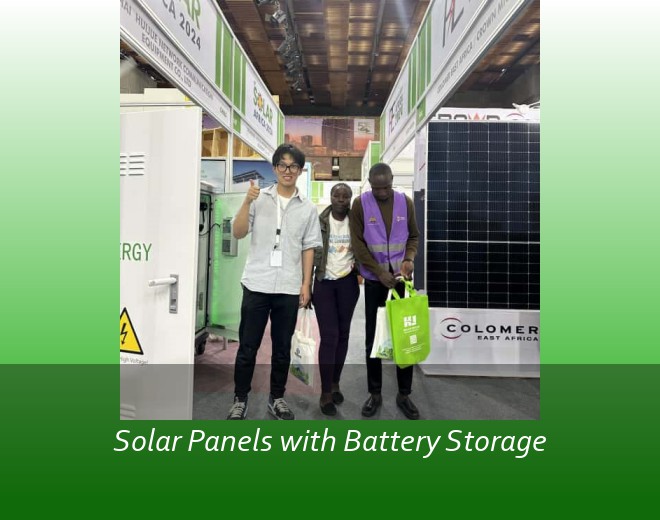 Solar Panels with Battery Storage