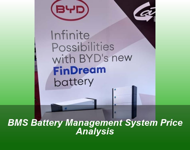 BMS Battery Management System Price Analysis