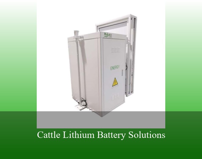 Cattle Lithium Battery Solutions