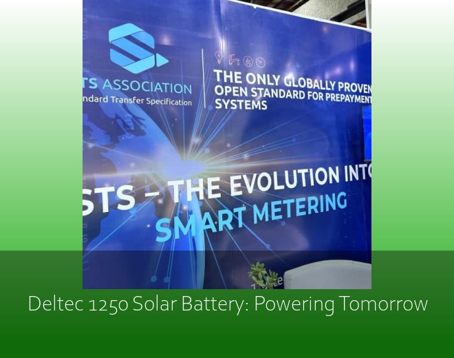 Deltec 1250 Solar Battery: Powering Tomorrow