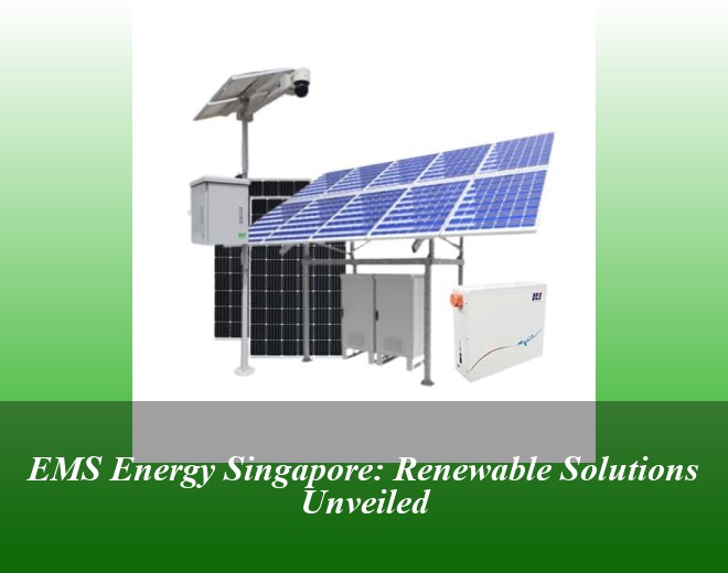 EMS Energy Singapore: Renewable Solutions Unveiled