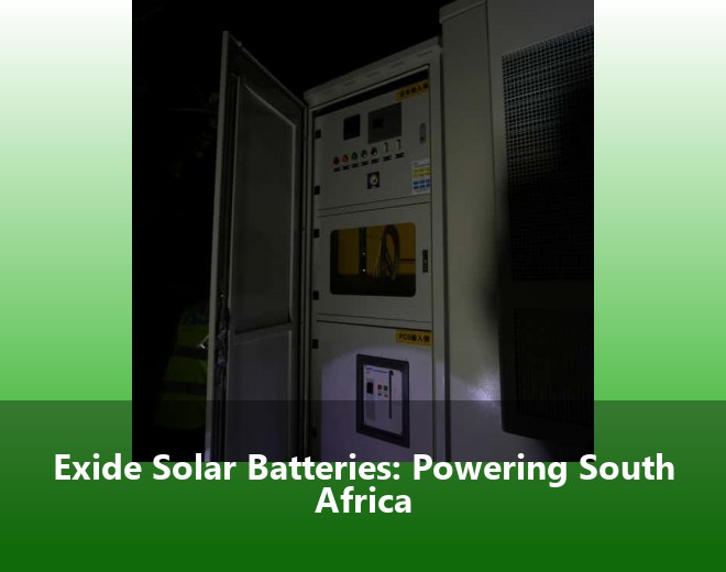 Exide Solar Batteries: Powering South Africa