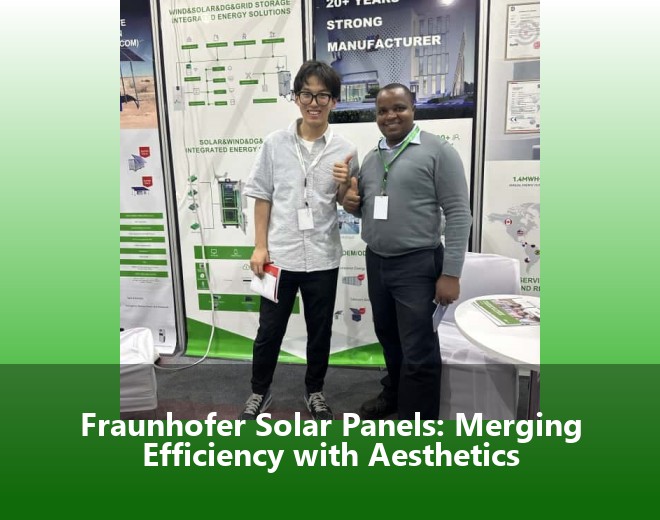 Fraunhofer Solar Panels: Merging Efficiency with Aesthetics