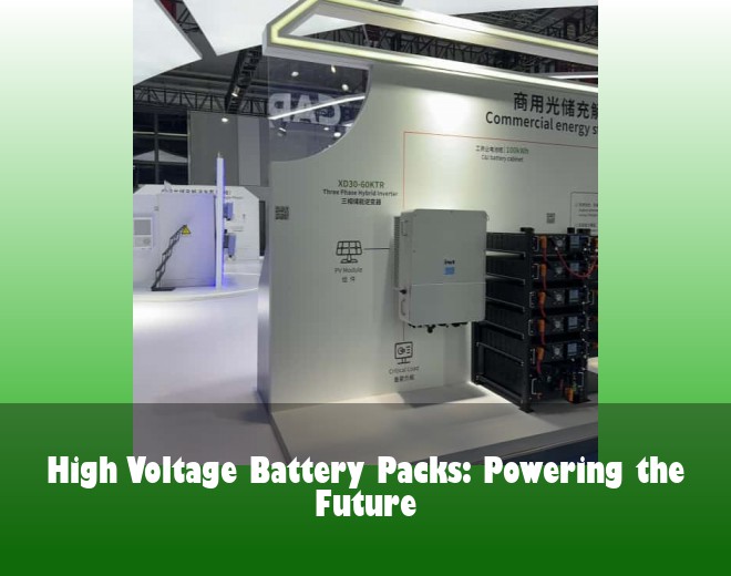 High Voltage Battery Packs: Powering the Future