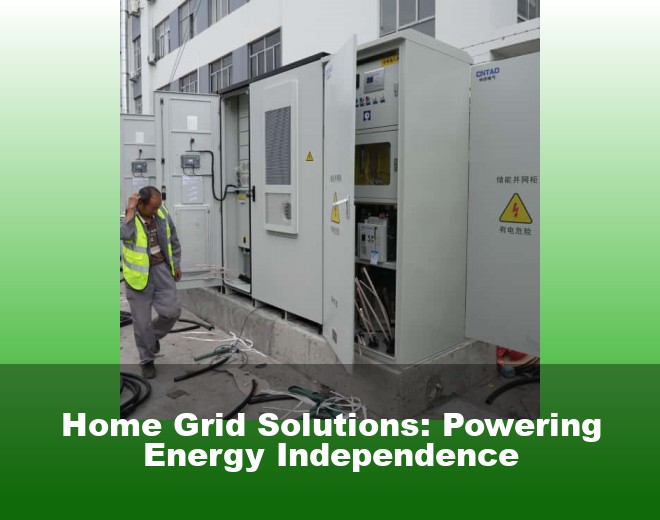 Home Grid Solutions: Powering Energy Independence