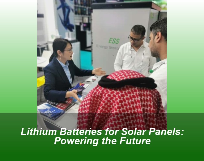 Lithium Batteries for Solar Panels: Powering the Future