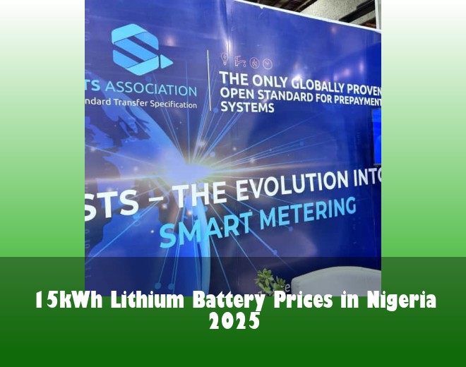 15kWh Lithium Battery Prices in Nigeria 2025