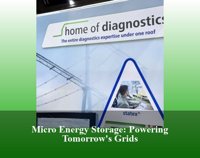Micro Energy Storage: Powering Tomorrow's Grids