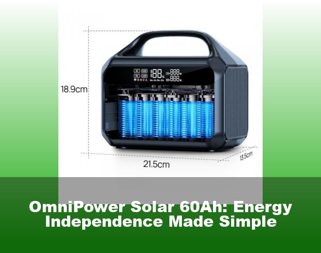 OmniPower Solar 60Ah: Energy Independence Made Simple