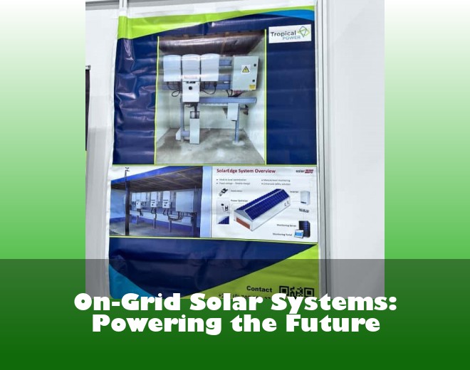 On-Grid Solar Systems: Powering the Future