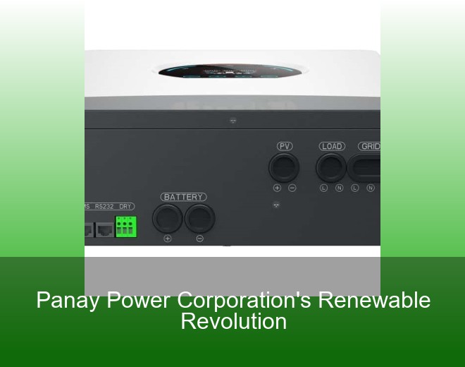 Panay Power Corporation's Renewable Revolution