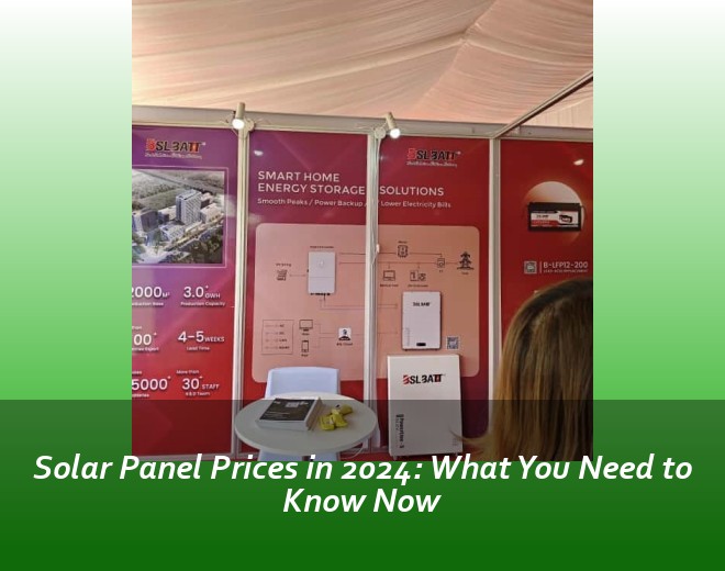 Solar Panel Prices in 2024: What You Need to Know Now