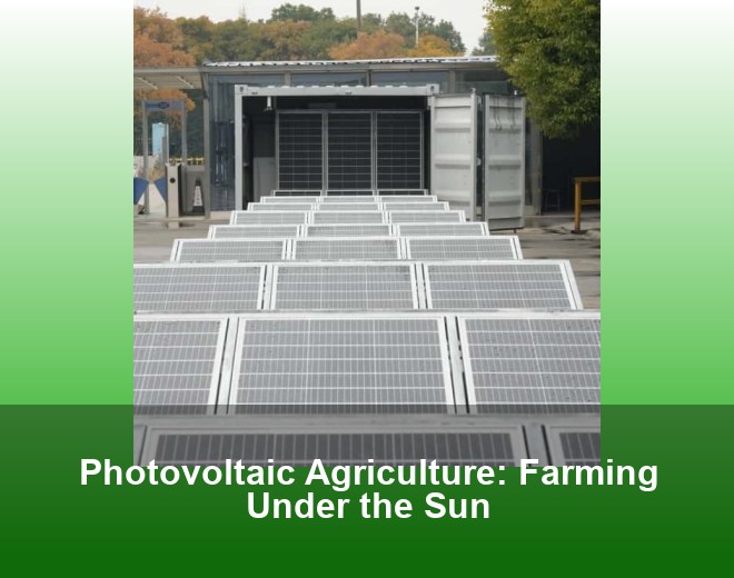 Photovoltaic Agriculture: Farming Under the Sun
