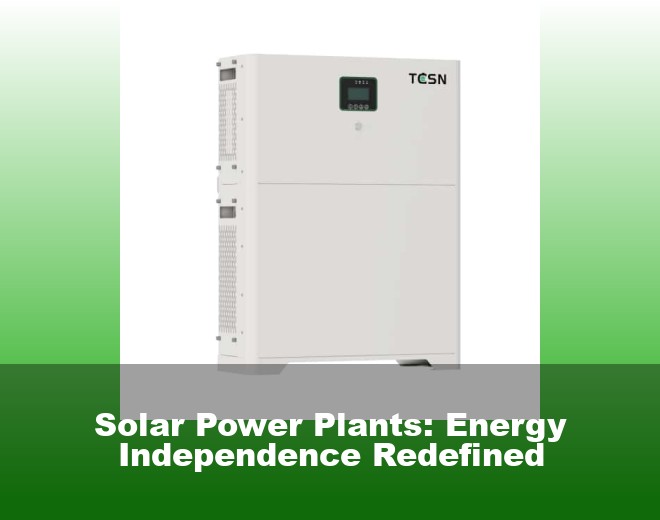 Solar Power Plants: Energy Independence Redefined
