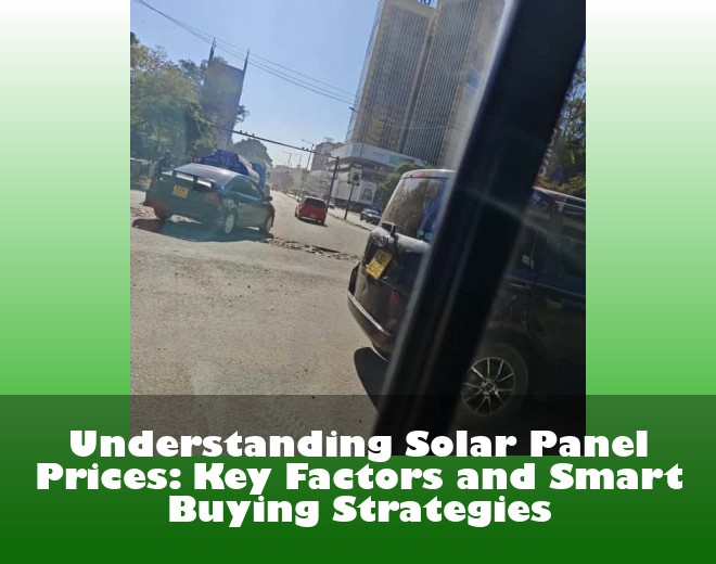 Understanding Solar Panel Prices: Key Factors and Smart Buying Strategies
