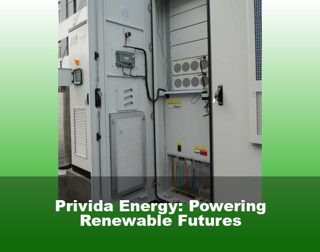 Privida Energy: Powering Renewable Futures