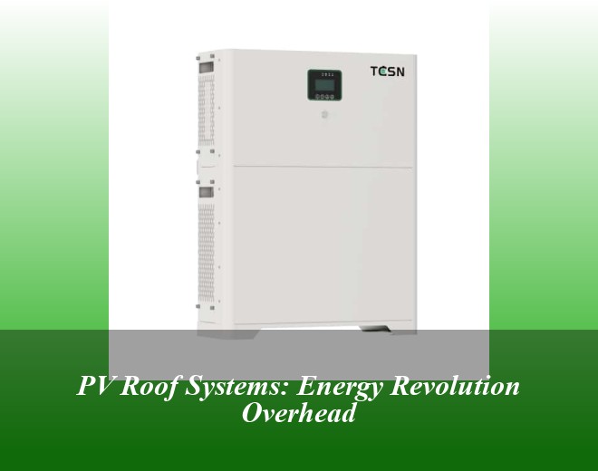 PV Roof Systems: Energy Revolution Overhead