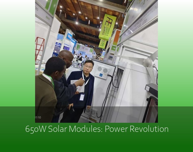650W Solar Modules: Power Revolution