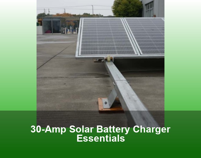 30-Amp Solar Battery Charger Essentials