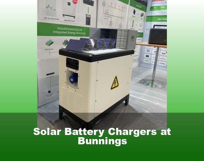 Solar Battery Chargers at Bunnings