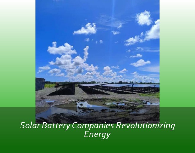 Solar Battery Companies Revolutionizing Energy