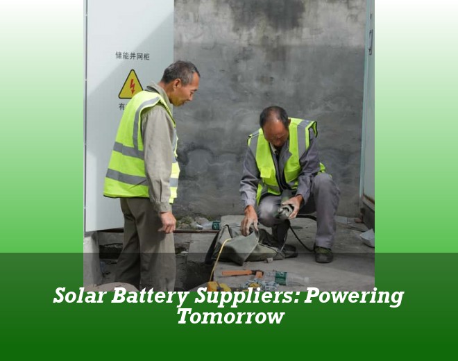 Solar Battery Suppliers: Powering Tomorrow