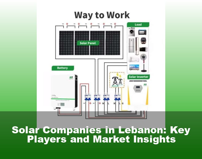 Solar Companies in Lebanon: Key Players and Market Insights