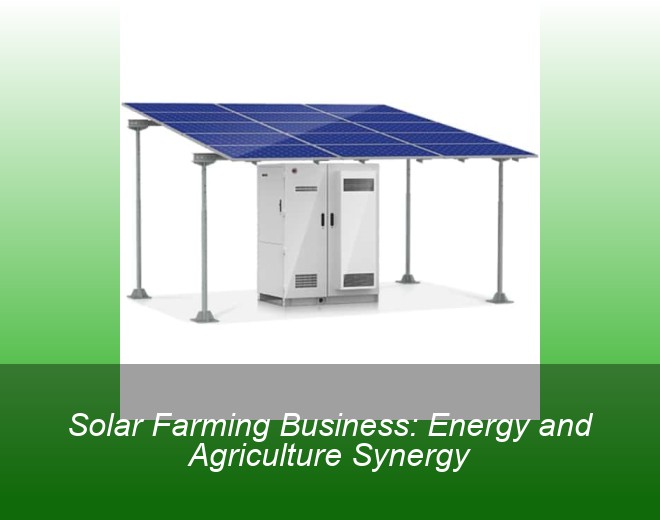 Solar Farming Business: Energy and Agriculture Synergy