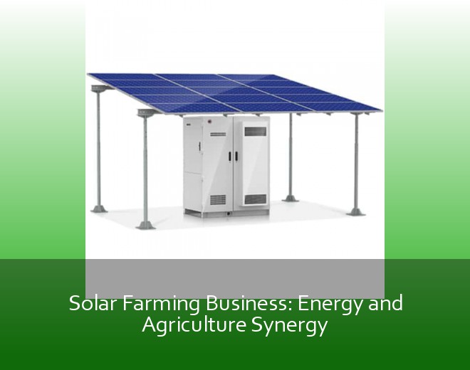 Solar Farming Business: Energy and Agriculture Synergy