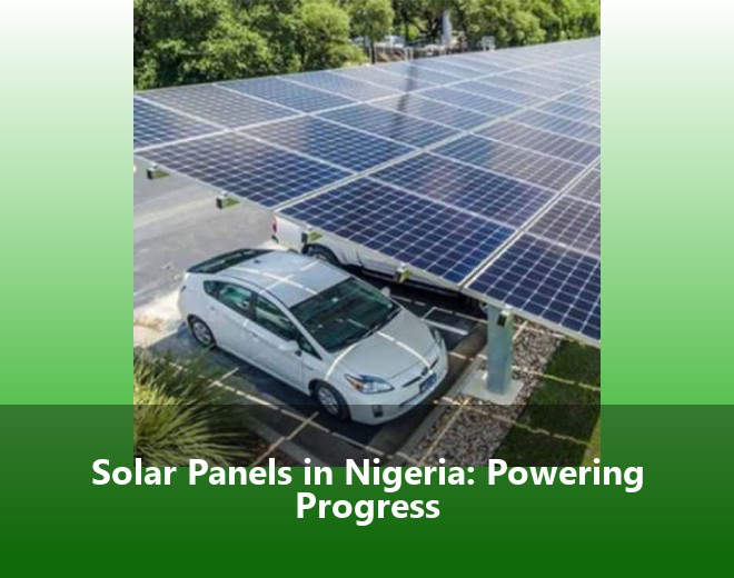Solar Panels in Nigeria: Powering Progress