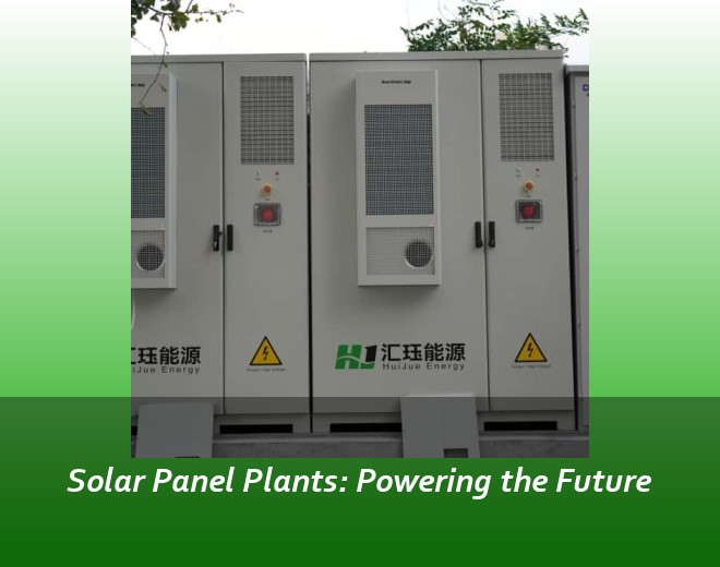 Solar Panel Plants: Powering the Future