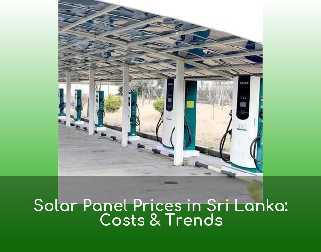 Solar Panel Prices in Sri Lanka: Costs & Trends