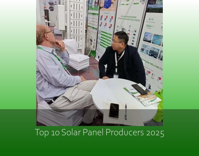 Top 10 Solar Panel Producers 2025