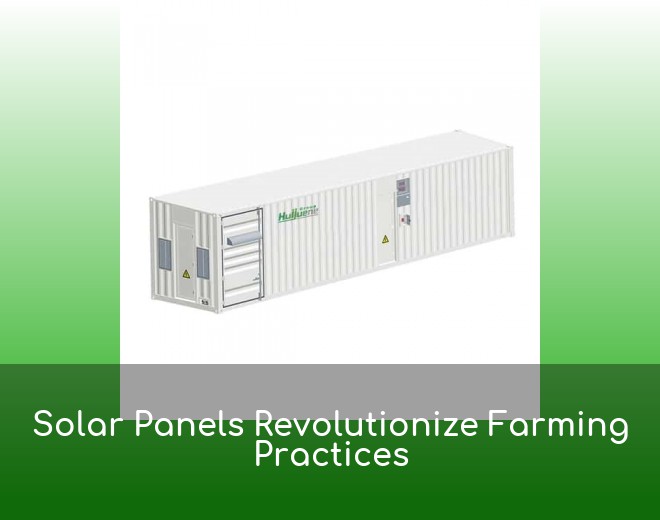 Solar Panels Revolutionize Farming Practices