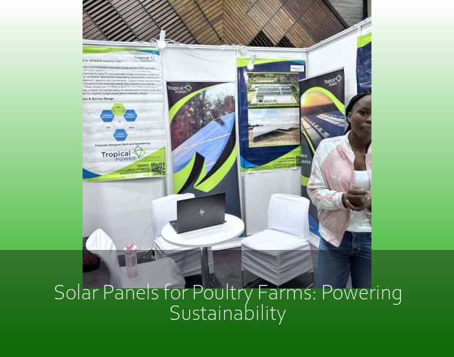 Solar Panels for Poultry Farms: Powering Sustainability