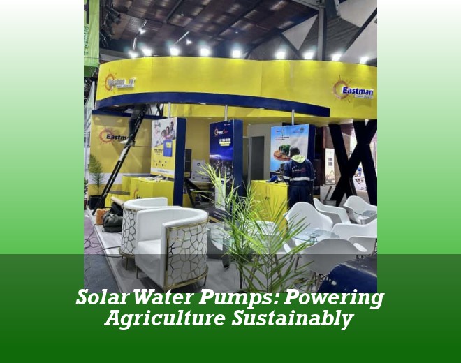 Solar Water Pumps: Powering Agriculture Sustainably