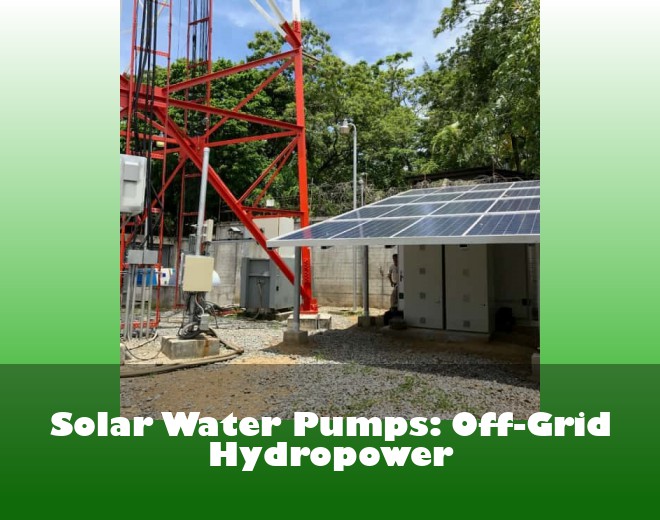 Solar Water Pumps: Off-Grid Hydropower