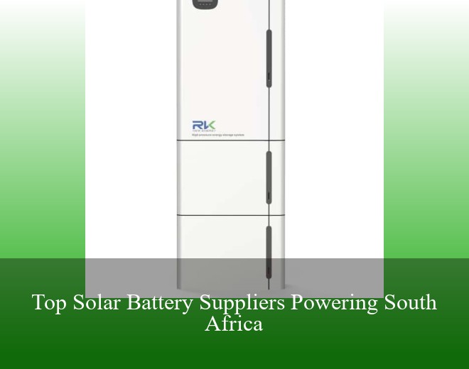 Top Solar Battery Suppliers Powering South Africa