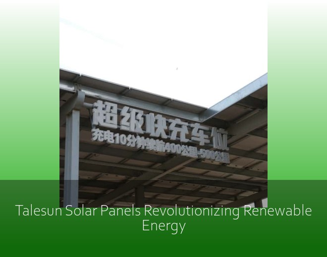Talesun Solar Panels Revolutionizing Renewable Energy
