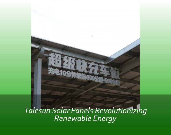 Talesun Solar Panels Revolutionizing Renewable Energy