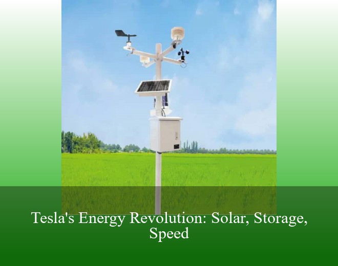 Tesla's Energy Revolution: Solar, Storage, Speed