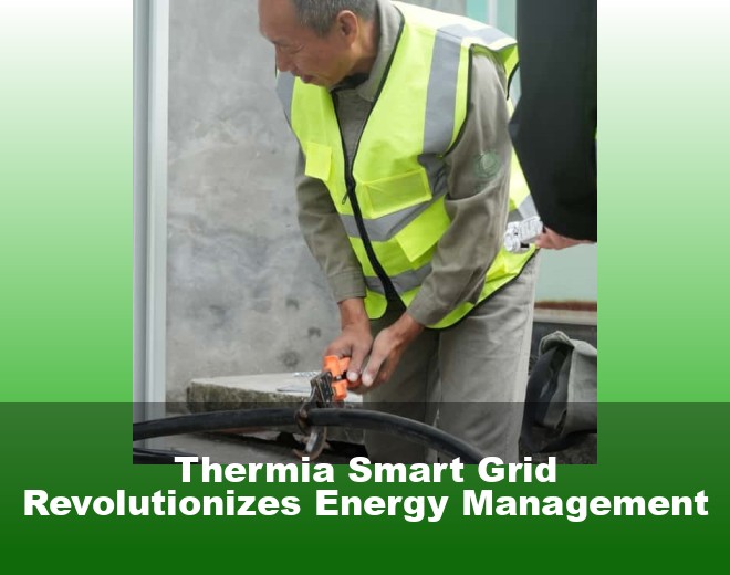 Thermia Smart Grid Revolutionizes Energy Management